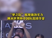 九游娱乐app口碑好-梦之队，欧洲国家代表团的辉煌时刻的简单介绍
