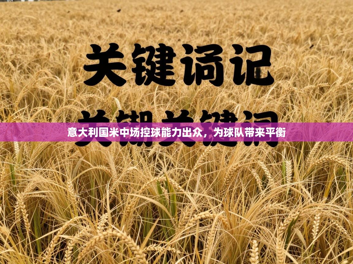 意大利国米中场控球能力出众,为球队带来平衡 第1张