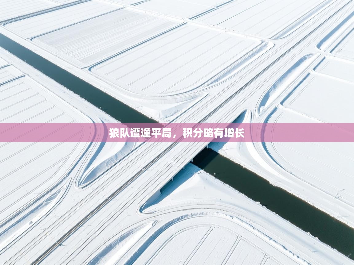 狼队遭逢平局，积分略有增长  第2张