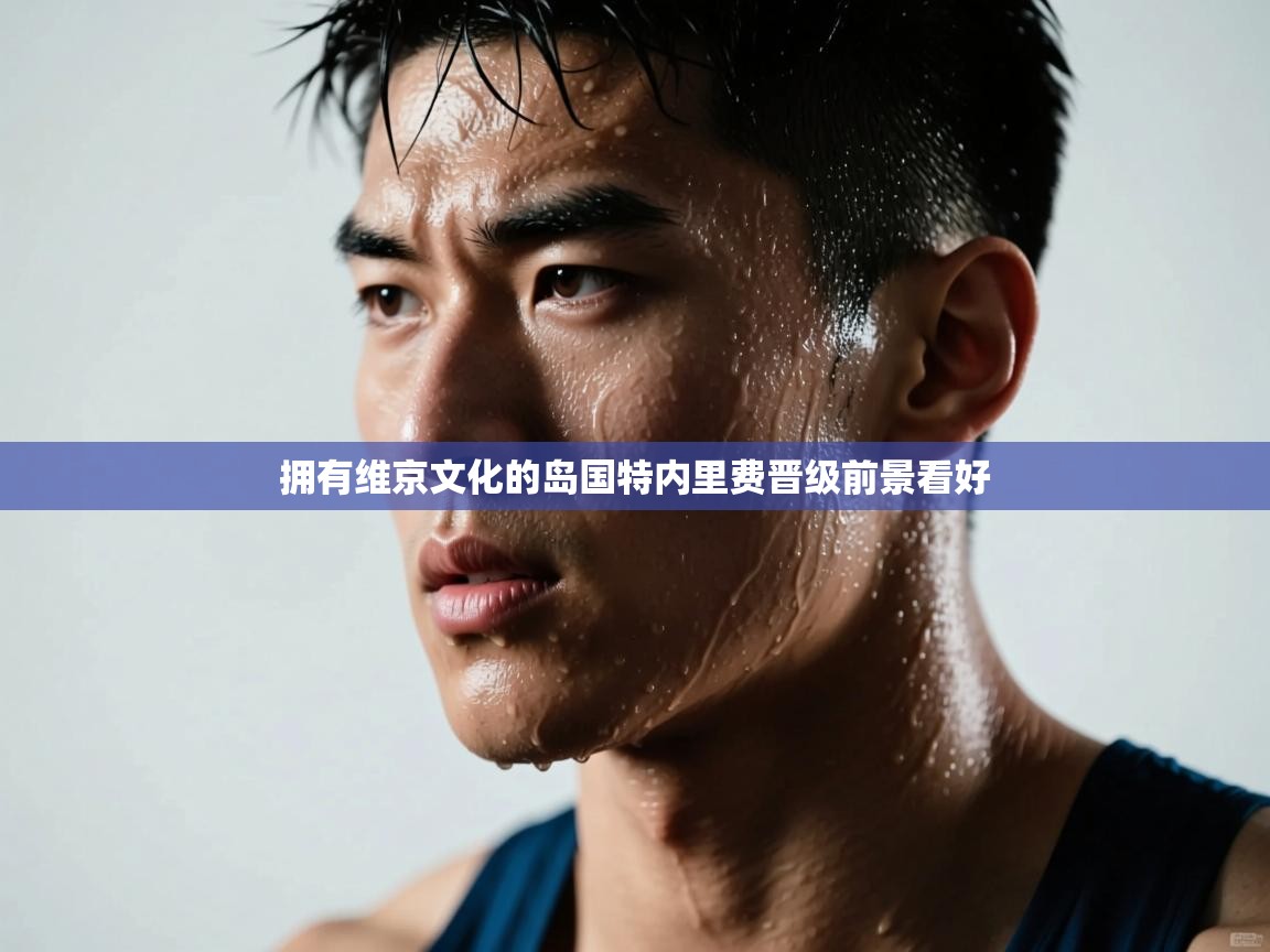 拥有维京文化的岛国特内里费晋级前景看好  第1张