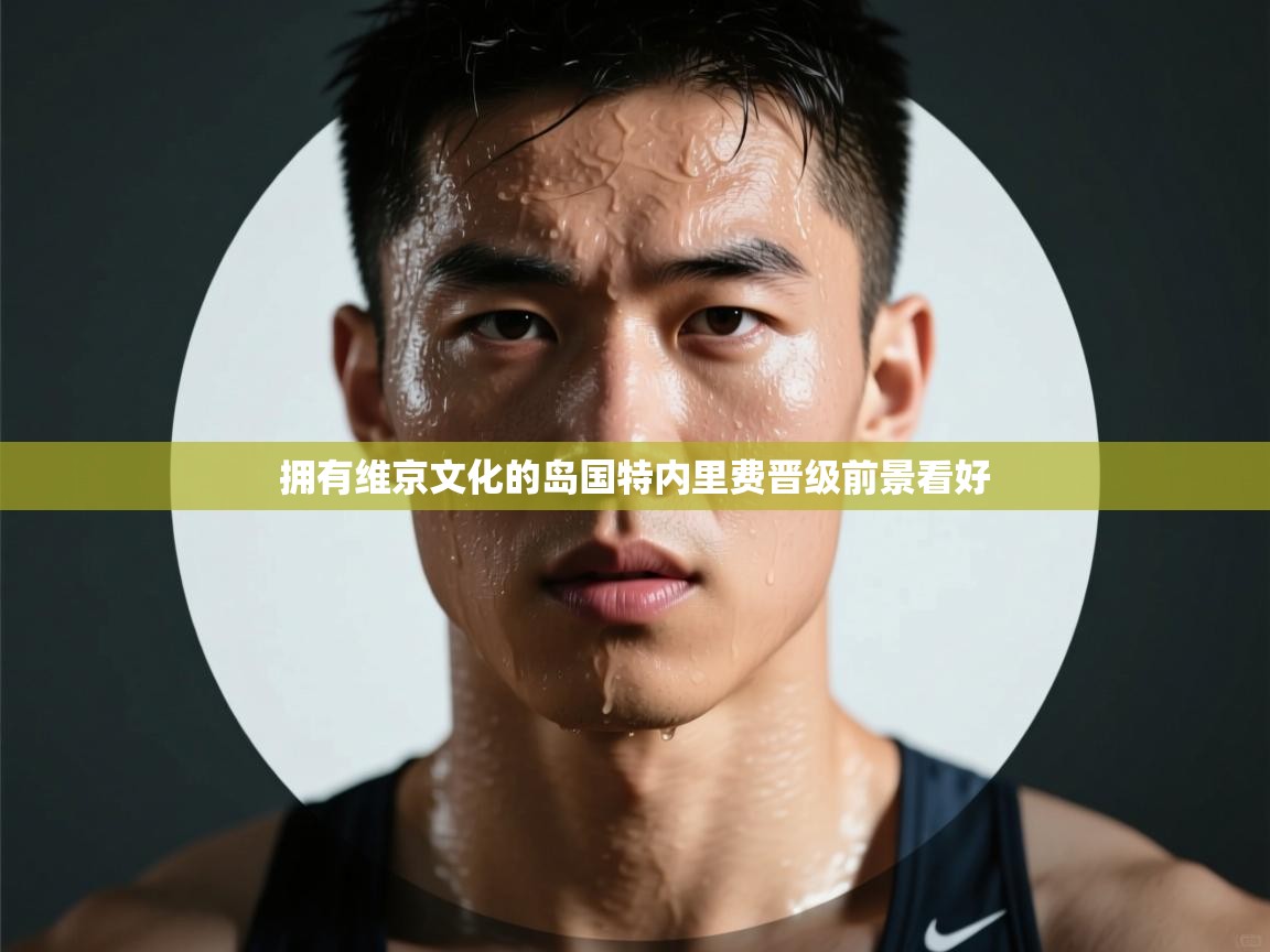 拥有维京文化的岛国特内里费晋级前景看好  第2张