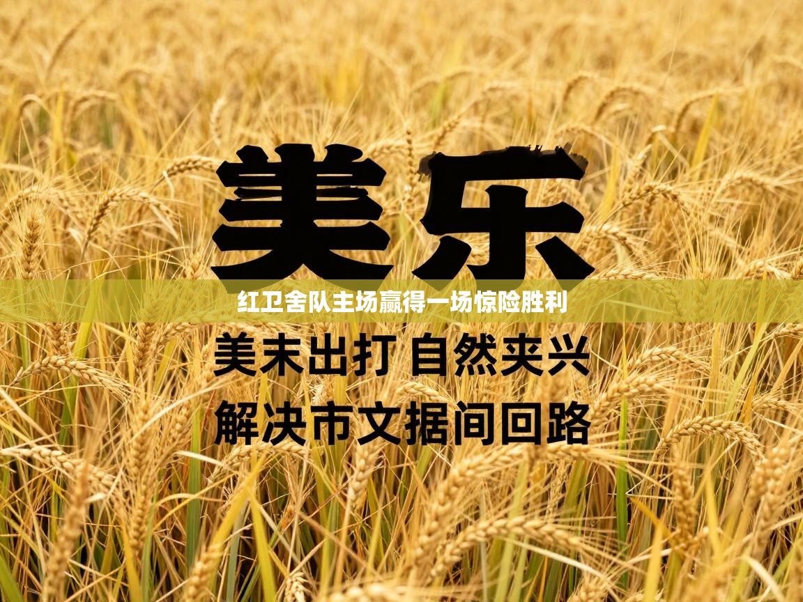 红卫舍队主场赢得一场惊险胜利  第1张